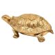Handmade Brass Tortoise Storage Box