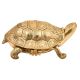 Handmade Brass Tortoise Storage Box