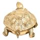 Handmade Brass Tortoise Storage Box