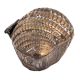 Brass Vintage Conch Shell Storage Box