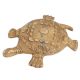 Turtle Yantra â€“ Stylish and Sophisticated
